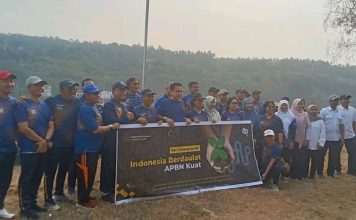 Penghijauan di Bendungan Meninting: KEK Mandalika Tanam Pohon Upaya Menjaga Lingkungan