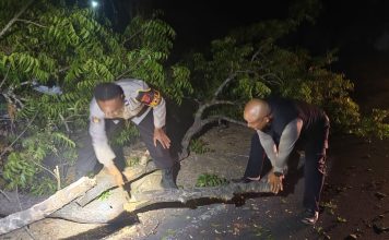 Kapolsek Praya Timur Tanggap Atasi Kayu Tumbang yang Menghalangi Jalan
